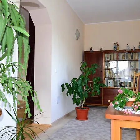 Vendégház Casa Andrada & Ilinca
